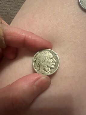 Buffalo Nickel Reverse - Classic Bison Design in Silver Tone